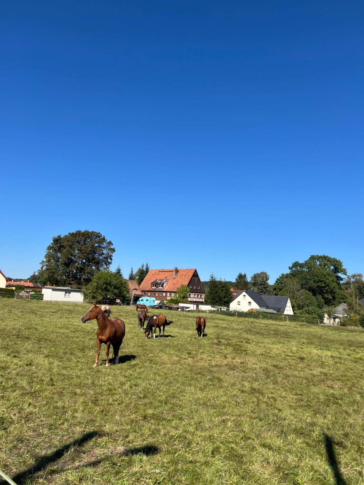 Ferienwohnung Kottmar Walddorf  Exteriér fotografie